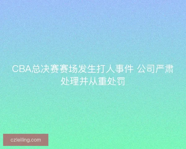 CBA总决赛赛场发生打人事件 公司严肃处理并从重处罚