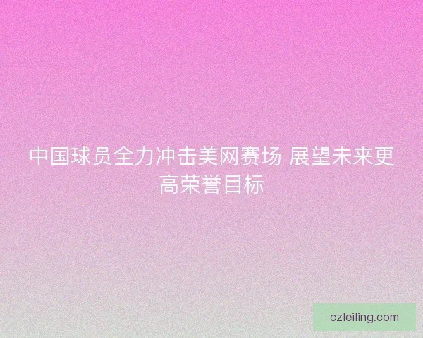 中国球员全力冲击美网赛场 展望未来更高荣誉目标